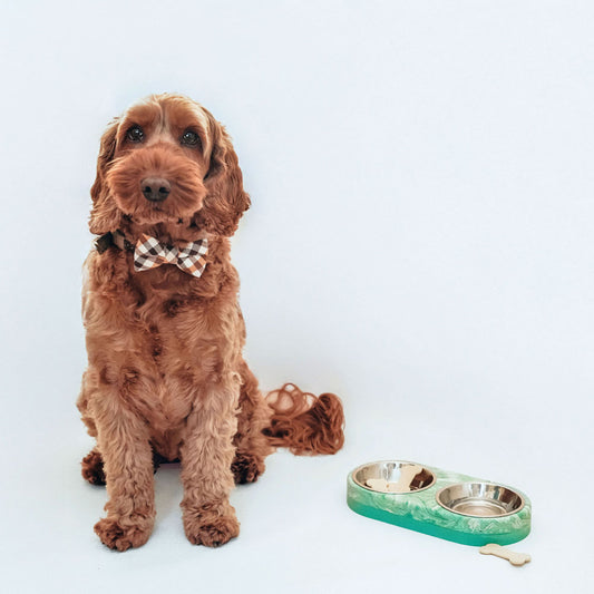 Double Pet Bowl Holder