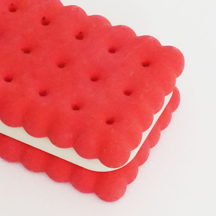 Rectangular Biscuit Coaster