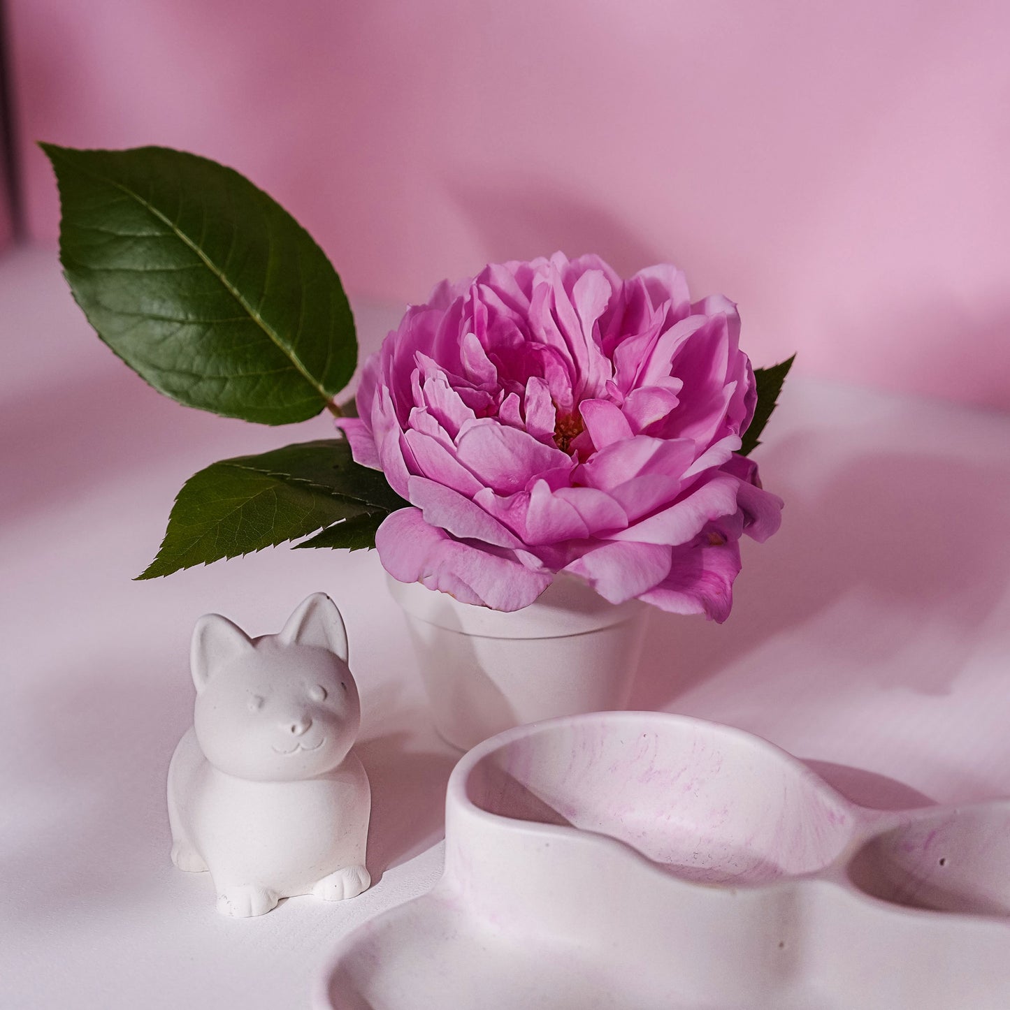 Small Plant Pot